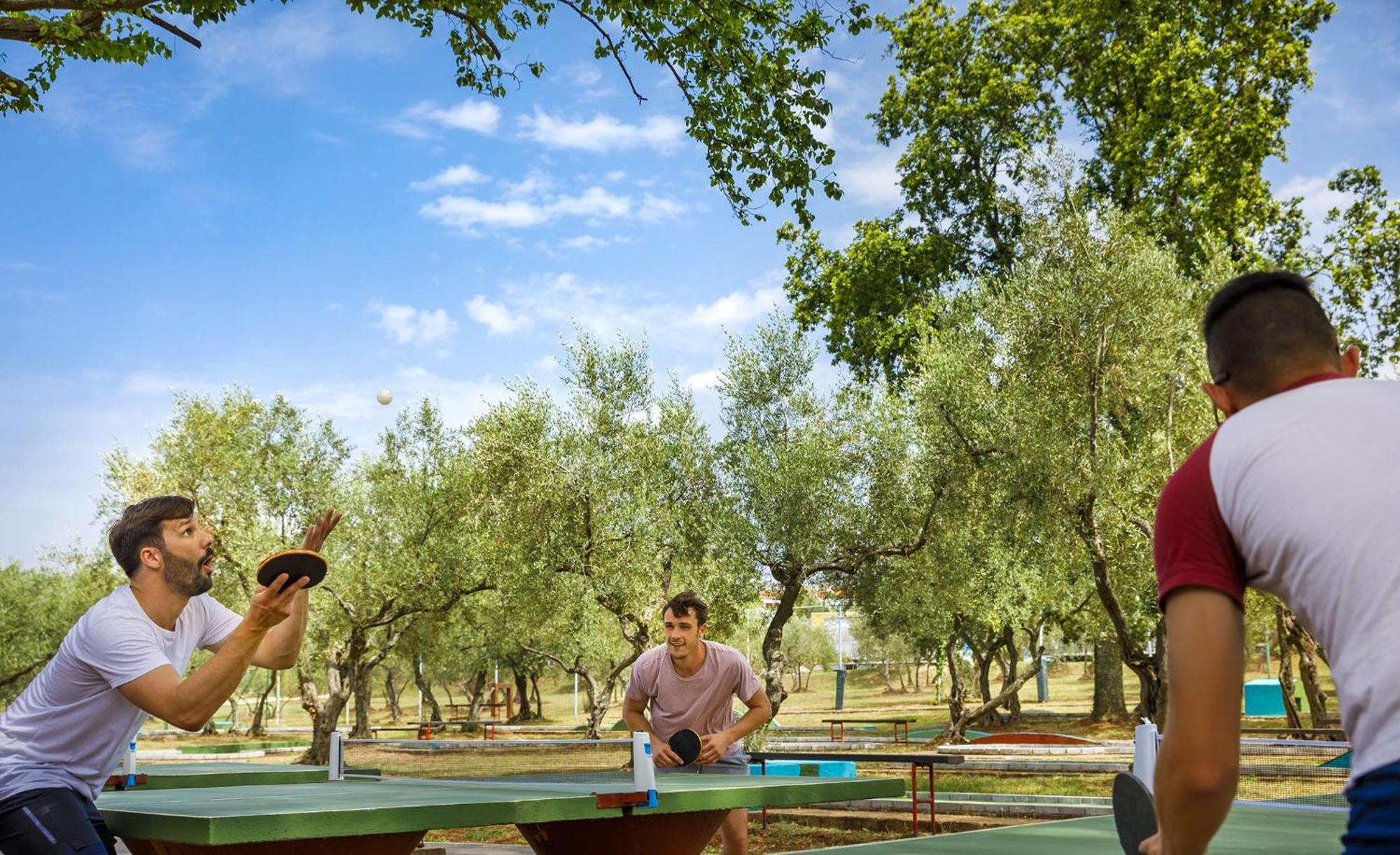 Aminess Planet Camping Maravea Resort - Pitches Novigrad Istria 外观 照片